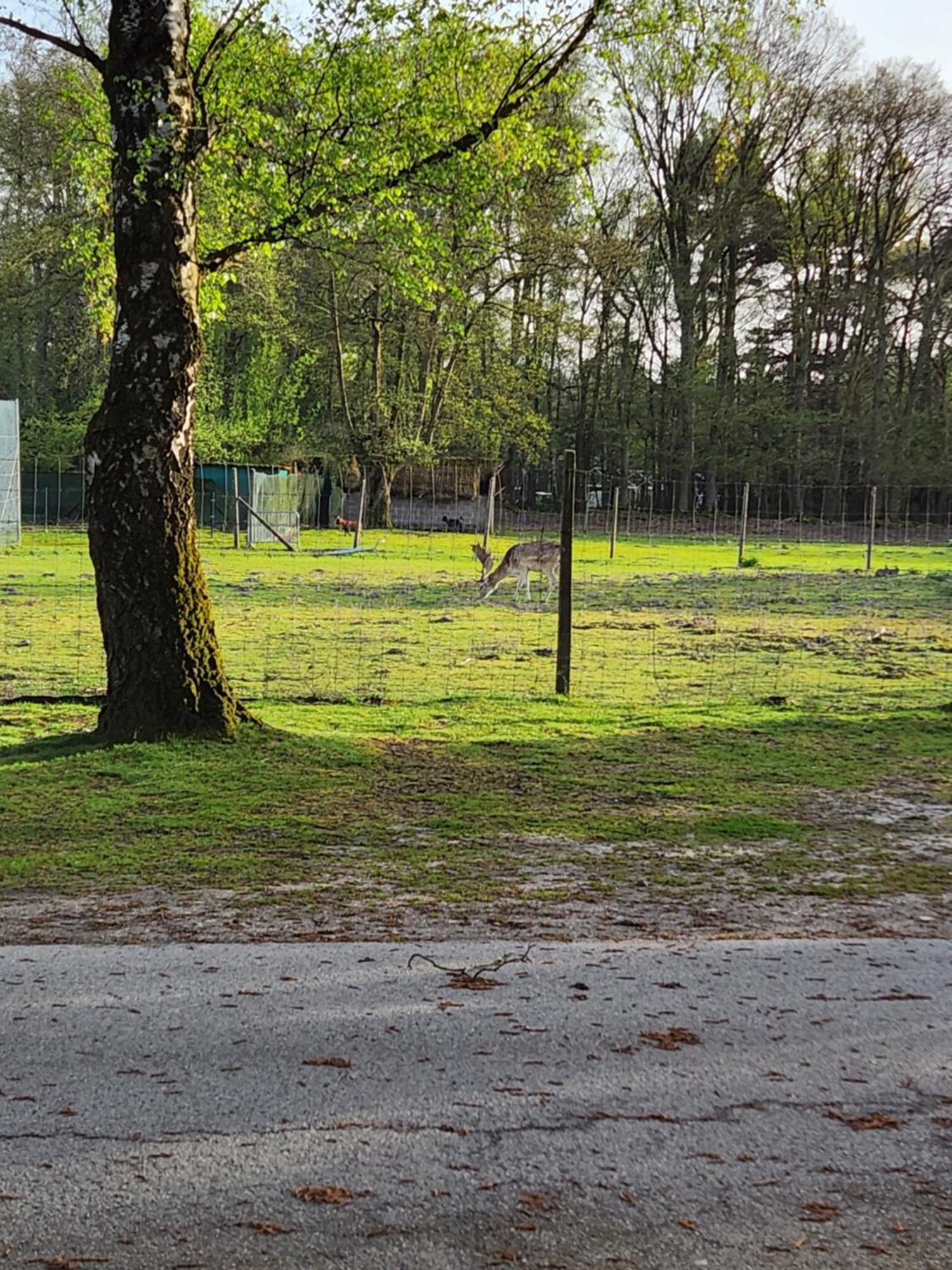 Bungalow Willerby Maasmechelen Luaran gambar
